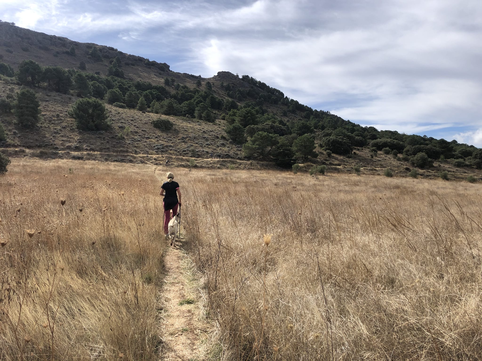 Prados cerca del Cortijo del Manar