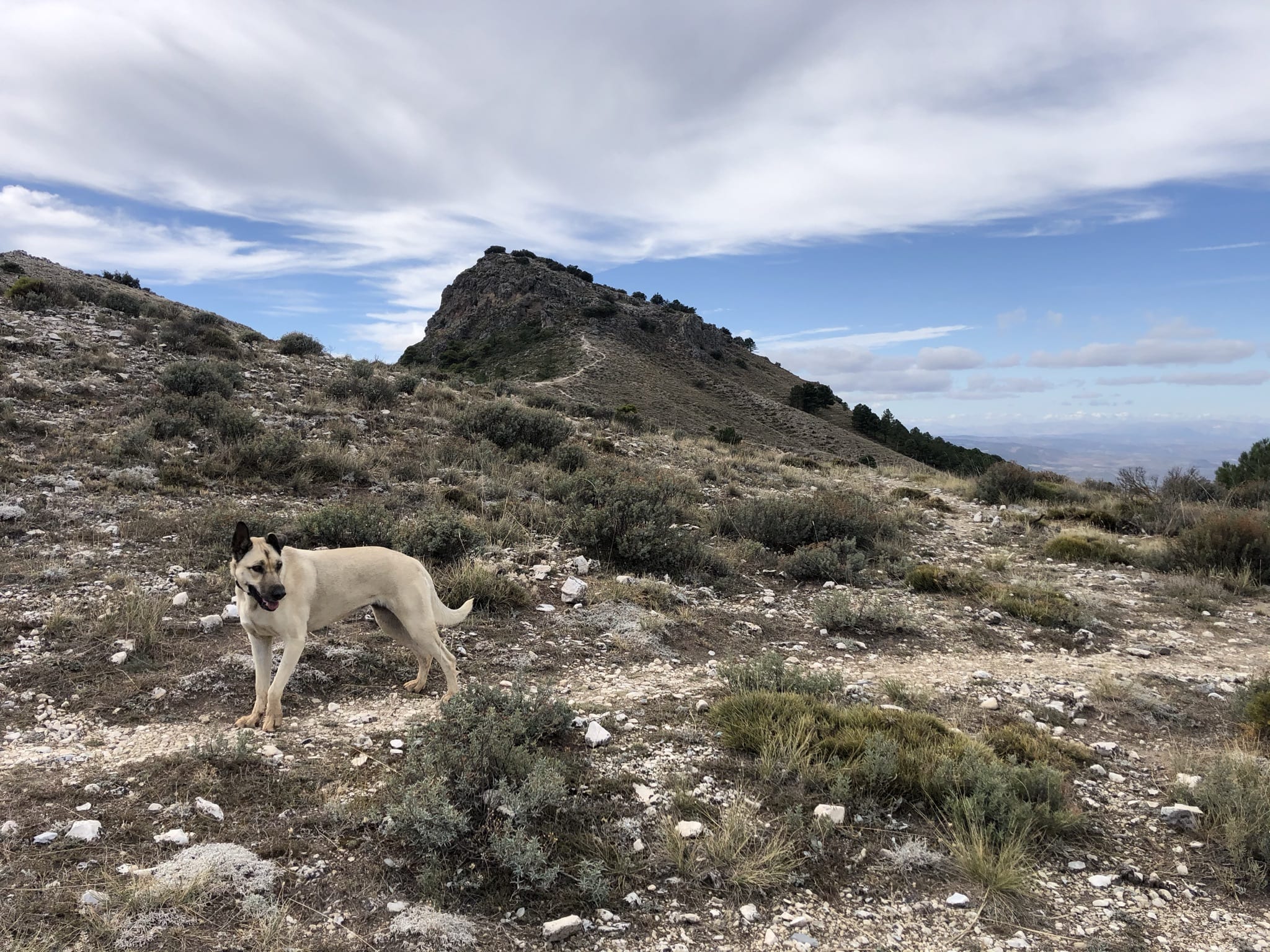Puerto de Mala Mujer con el Cerro de la Silleta al fondo