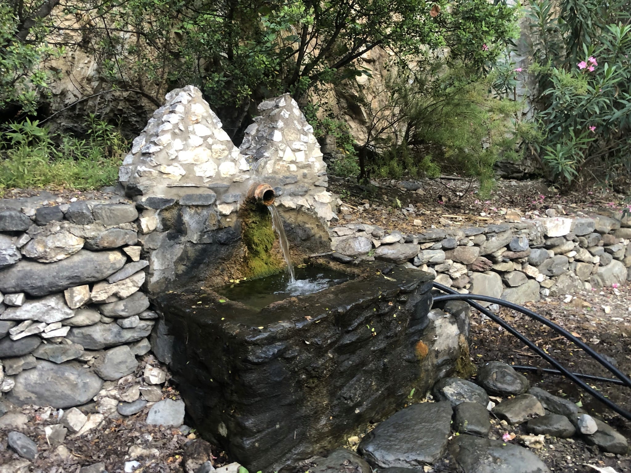 Fuente Santa en Canillas de albaida
