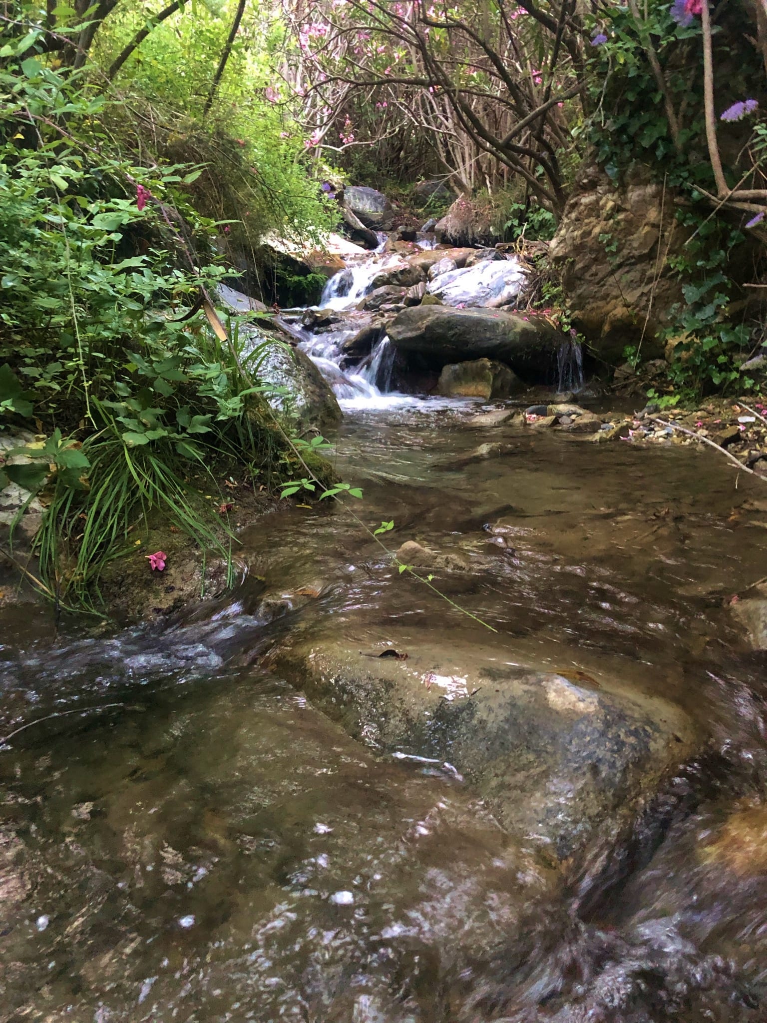Río Turvilla en la zona de Fuente Santa